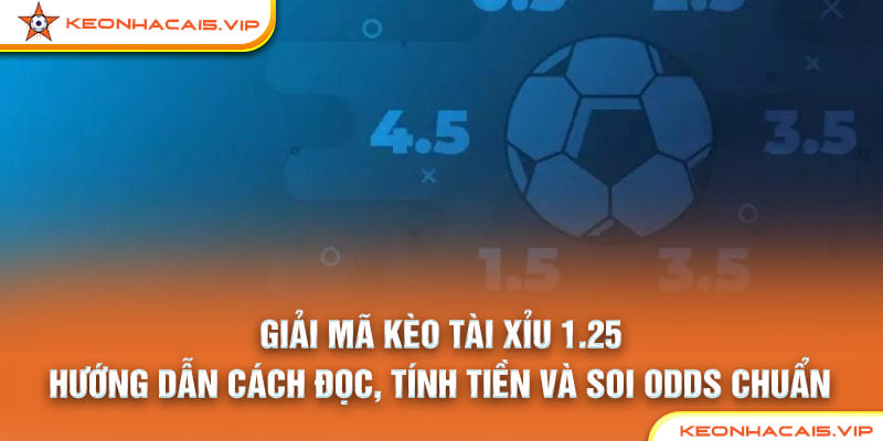 Giải Mã Kèo Tài Xỉu 1.25: Hướng Dẫn Cách Đọc, Tính Tiền Và Soi Odds Chuẩn