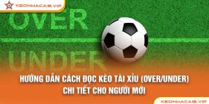 Hướng Dẫn Cách Đọc Kèo Tài Xỉu (Over/Under) Chi Tiết Cho Người Mới