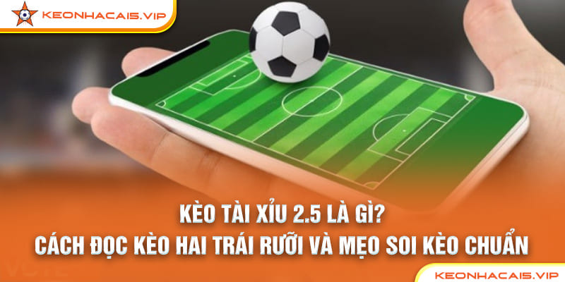 Kèo Tài Xỉu 2.5 Là Gì? Cách Đọc Kèo Hai Trái Rưỡi Và Mẹo Soi Kèo Chuẩn