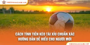 Cách Tính Tiền Kèo Tài Xỉu Chuẩn Xác: Hướng Dẫn Dễ Hiểu Cho Người Mới