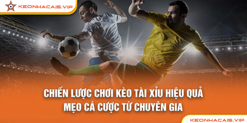 hiến Lược Chơi Kèo Tài Xỉu Hiệu Quả – Bí Quyết Từ Chuyên Gia