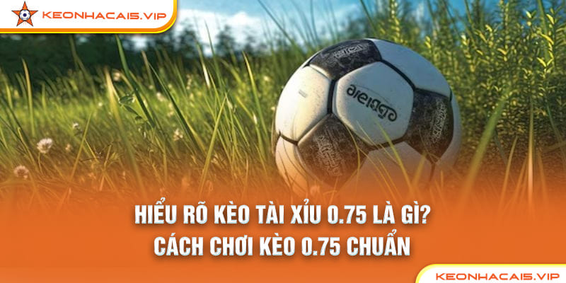 Kèo Tài Xỉu 0.75 – Mẹo Cược Tài Xỉu Hiệu Quả từ Keonhacai